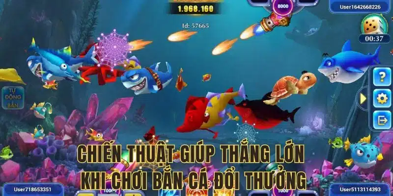 Áp dụng chiến thuật linh hoạt, tối ưu lợi nhuận Áp dụng chiến thuật linh hoạt, tối ưu lợi nhuận