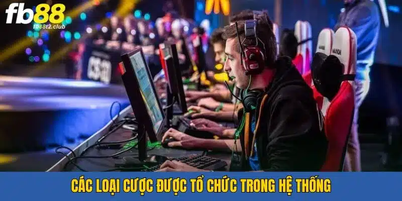 Những loại kèo cá cược thể thao điện tử được tổ chức