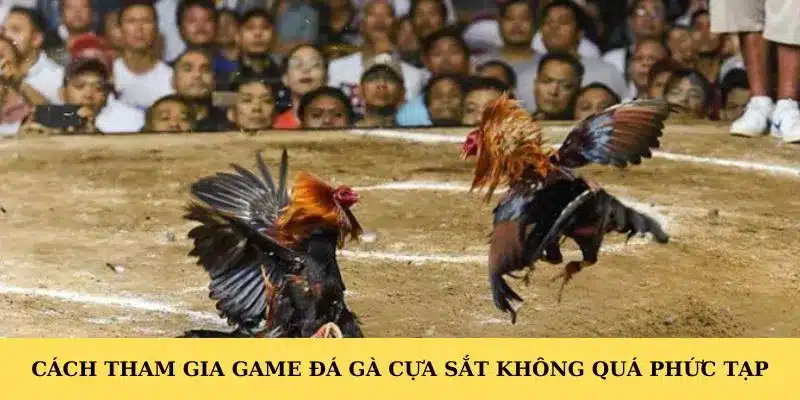 Nắm ngay những chiến lược nhanh thắng khi tham gia đá gà cựa sắt Cách tham gia game đá gà cựa sắt không quá phức tạp