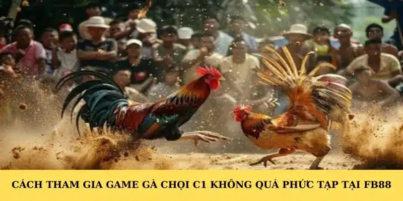 Cách tham gia game gà chọi C1 không quá phức tạp tại FB88