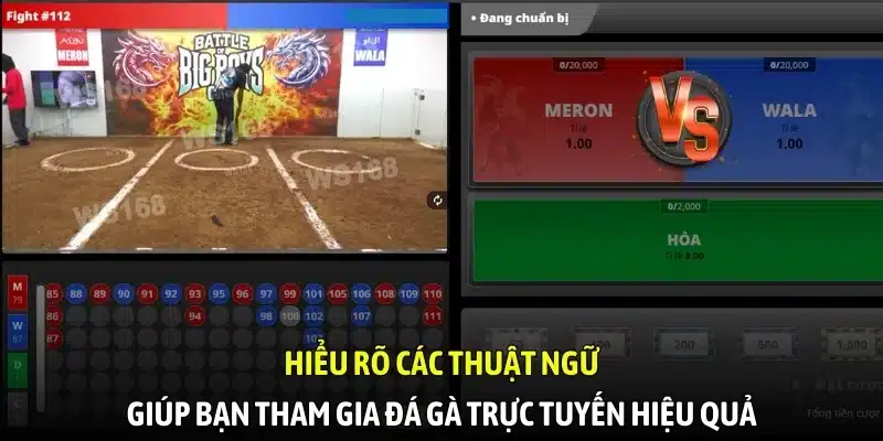 Hiểu rõ các thuật ngữ giúp bạn tham gia đá gà trực tuyến hiệu quả
