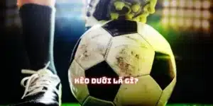 Kèo d??i FB88