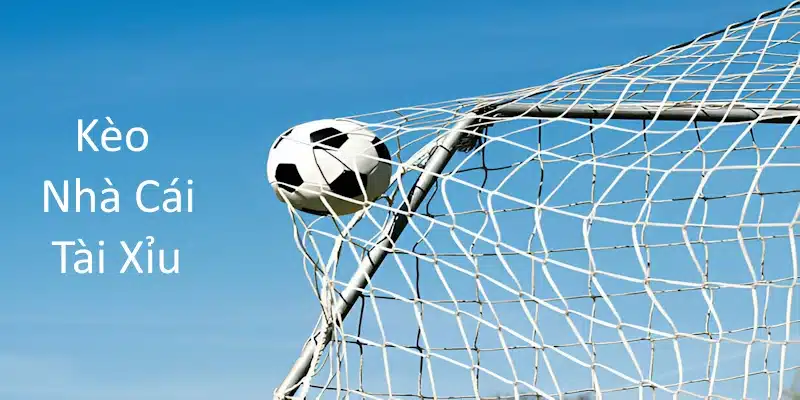 Chơi cá độ với kèo Tài Xỉu cũng rất thú vị