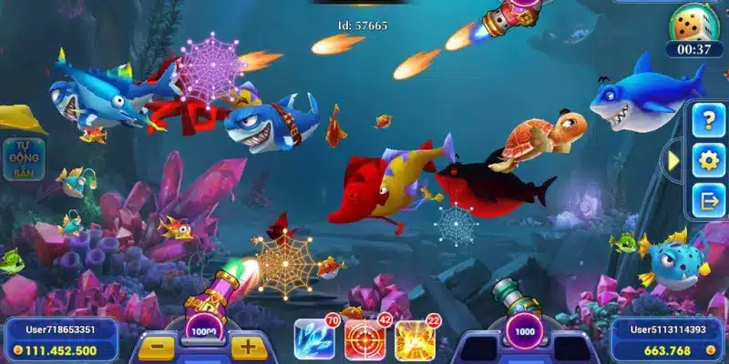 Lạc bước vào đại dương 3D sống động 