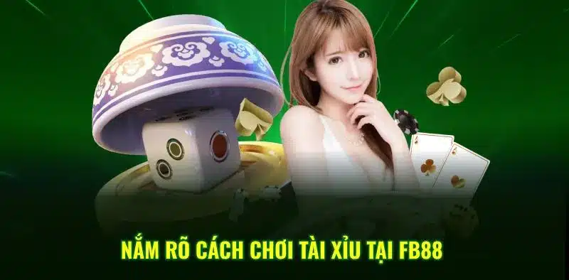 Cách chơi tài xỉu tại FB88 Cách chơi tài xỉu tại FB88