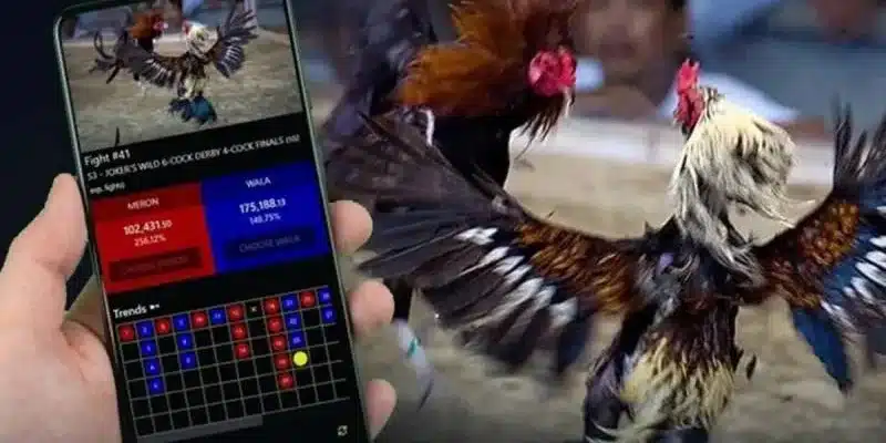 Sân chơi mang tới nhiều thể loại đá gà hấp dẫn Sân chơi mang tới nhiều thể loại đá gà hấp dẫn