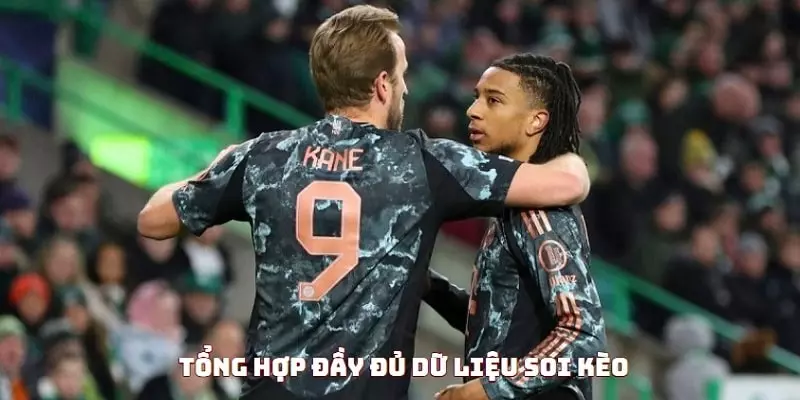 Dữ liệu thông tin về trận cần được tổng hợp chi tiết để soi kèo