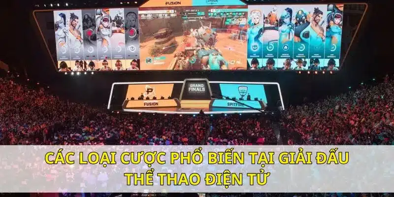 Một vài loại cược đơn giản, phổ biến mà thành viên nên nắm vững